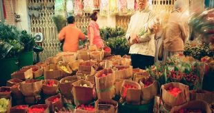 Tìm hiểu về chợ hoa Hồ Thị Kỷ