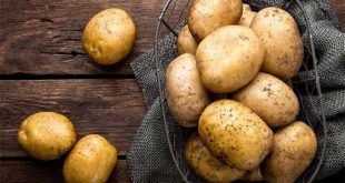 Nằm mơ thấy củ khoai tây đánh số mấy - Ý nghĩa chiêm bao củ khoai tây