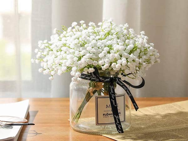 Mơ thấy hoa màu trắng là điềm gì?