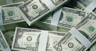 Nằm mơ thấy tiền đô có điềm báo gì, đánh số nào trúng?