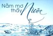 Mơ thấy nước có điềm báo gì? chiêm bao thấy nước số mấy?