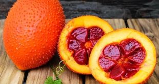 Ngủ mơ thấy quả gấc lành hay xui đánh con gì đại cát đại lộc?