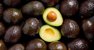 Mơ thấy quả bơ tốt hay xui đánh con gì dễ trúng độc đắc nhất?