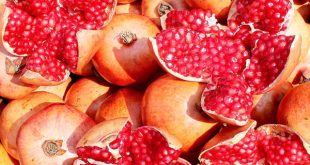 Mơ thấy quả lựu báo điềm gì, đánh con gì chuẩn xác hữu dụng nhất ?