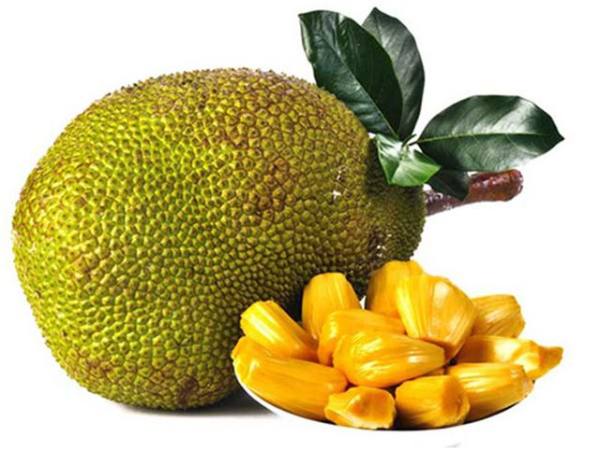 mơ thấy quả mít