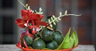 Giải mã ý nghĩa giấc mơ thấy quả cau