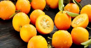 Nằm mơ thấy quả quất là điềm báo lành hay dữ?