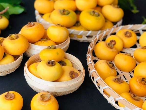 Ngủ mơ thấy quả thị có ý nghĩa gì?