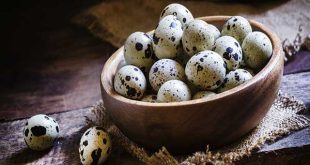 Luận giải ý nghĩa giấc mơ thấy trứng cút