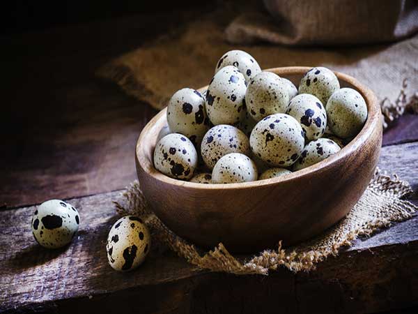 Luận giải ý nghĩa giấc mơ thấy trứng cút