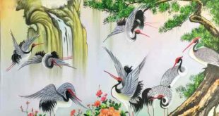 Thấy chim hạc có điềm báo gì, ý nghĩa may mắn hay xui xẻo?