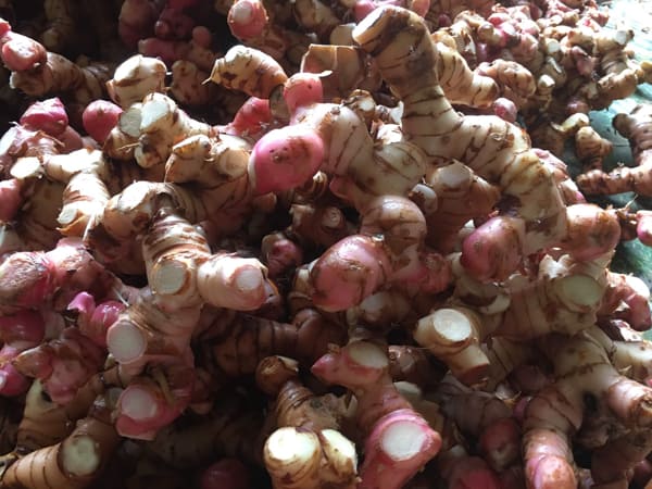 Thấy củ riềng có ý nghĩa gì