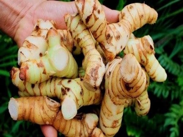 Thấy củ riềng chọn số nào