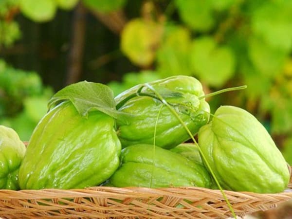 Thấy quả su su chọn số nào để luôn may mắn