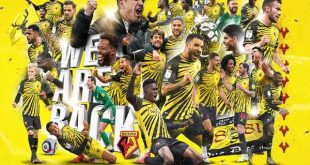 Biệt danh của Watford