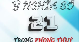 Bật mí ý nghĩa con số 11 không phải ai cũng biết