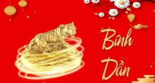 tuổi bính dần