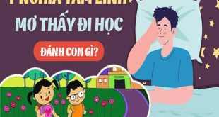 Giải mã nằm mơ thấy đi học báo hiệu điều gì?