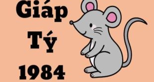 Bí mật con số tài lộc tuổi Giáp Tý ngày 25/4/2025 đổi vận