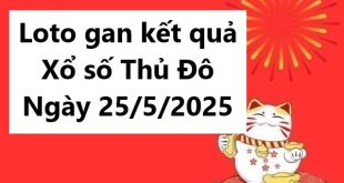 Loto gan kết quả xổ số Thủ Đô ngày 25/5/2025