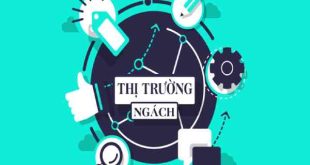 Thị trường ngách là gì