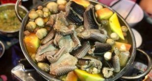 Nằm mơ thấy ăn thịt rắn là điềm gì có số gì may mắn