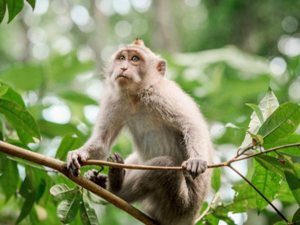 Mở lối công danh với số lộc tuổi Canh Thân 28/11/2025