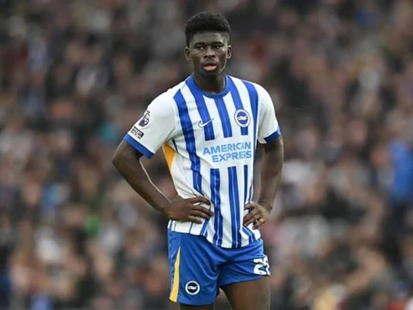 Tin MU: Baleba sẵn sàng đến MU nhưng Brighton chưa đồng ý Tin MU: Baleba sẵn sàng đến MU nhưng Brighton chưa đồng ý