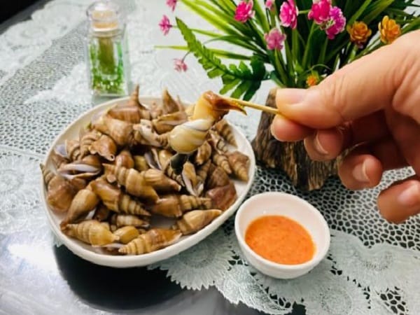 Giải mã chi tiết giấc mơ thấy ăn ốc báo điềm gì?